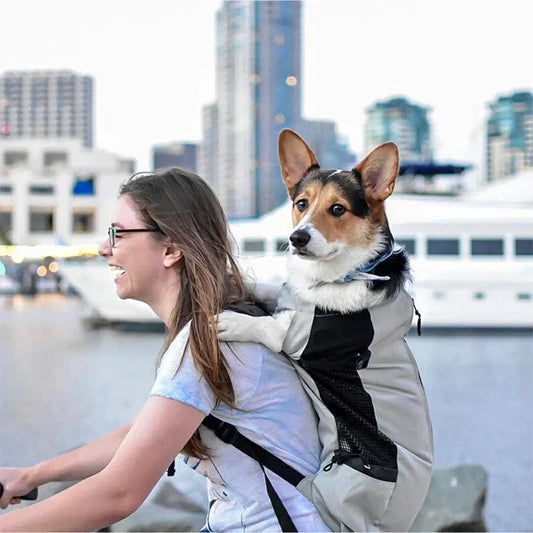 Breathable Washable Pet Carrier Backpack – Portable Adjustable Dog & Cat Bag